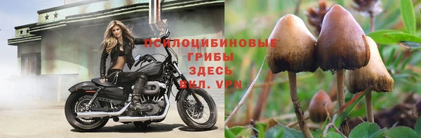 МДПВ Нягань