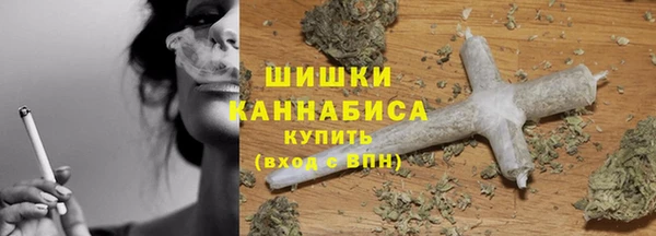 PSILOCYBIN Нязепетровск