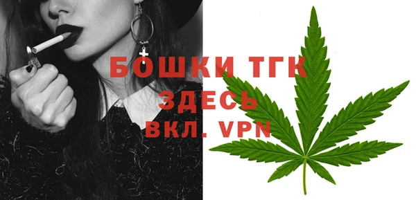 PSILOCYBIN Нязепетровск