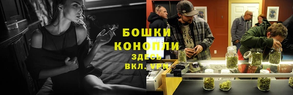 PSILOCYBIN Нязепетровск