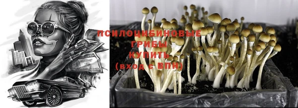 PSILOCYBIN Нязепетровск