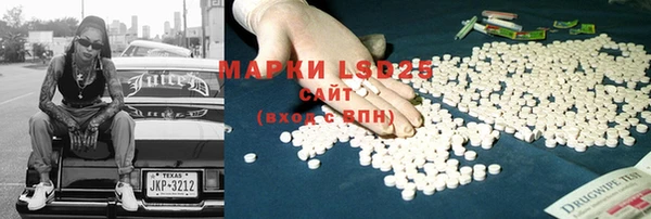 PSILOCYBIN Нязепетровск