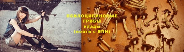 МДПВ Нягань