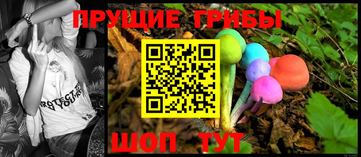 Галлюциногенные грибы Psilocybine cubensis  Вход с VPN  Сертолово 