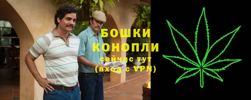 Канабис Ganja  Сертолово 